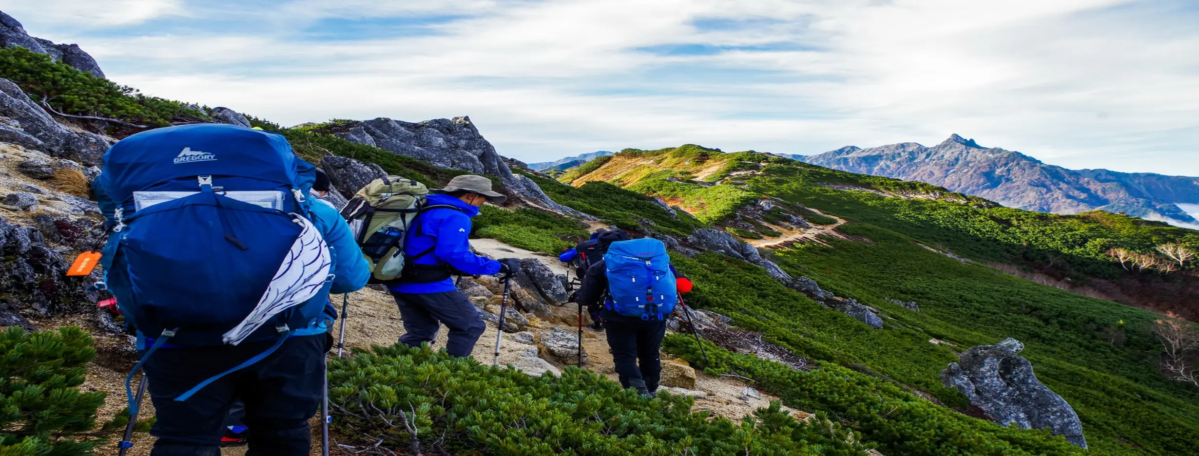 Image for Hiking Expedition